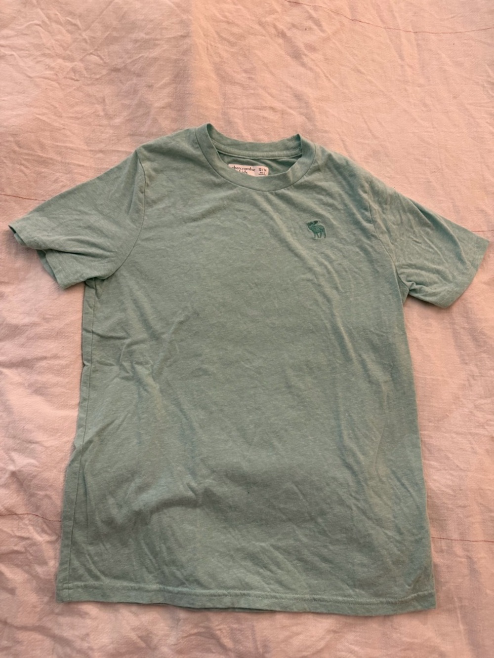 Abercrombie kids boys short sleeve tee shirt - size 13/14
